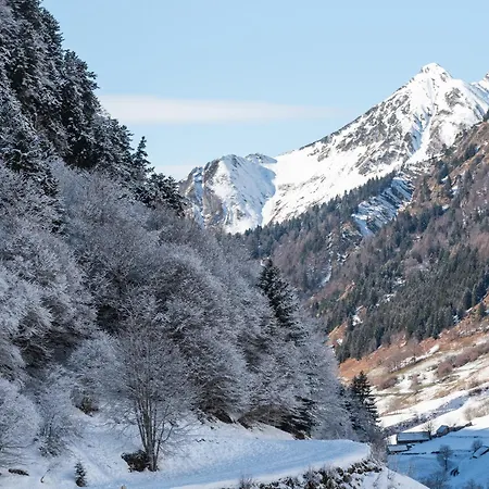 T2 Bis - Centre - Cure