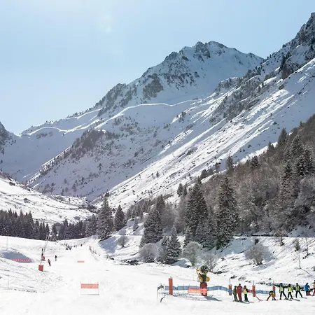 Appartement T2 Bis - Centre - Cure