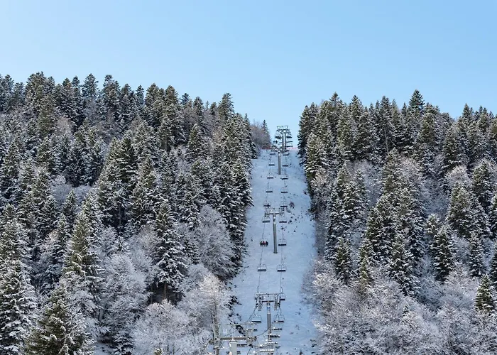 T2 Bis - Centre - Cure Barèges