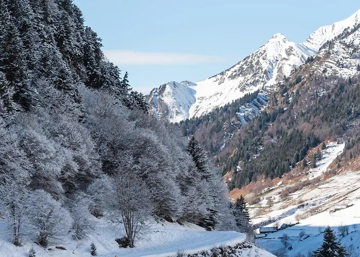 Lägenhet T2 Bis - Centre - Cure